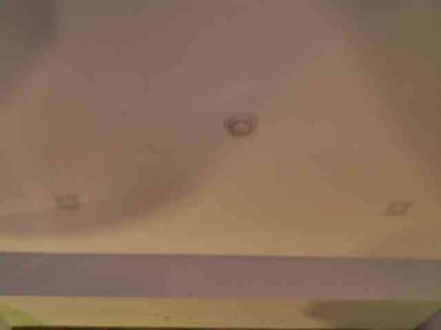 LisaMonroe webcam