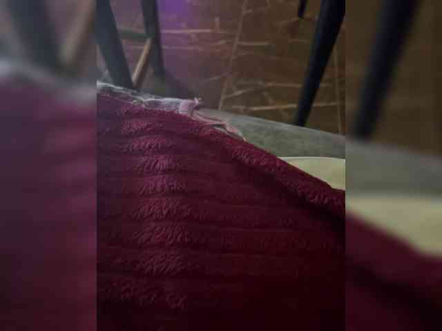 Maikl69Mila1 webcam