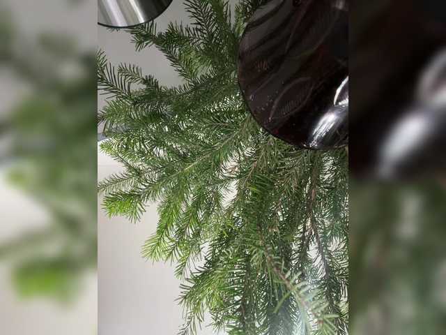 Kiss-krisss's BongaCams show and profile