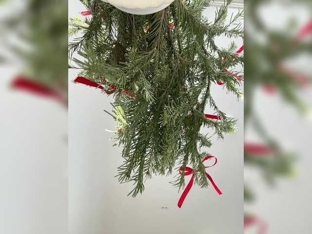 Kiss-krisss's BongaCams profile