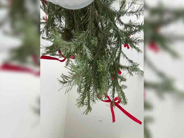 Liza_Klitorchuk webcam