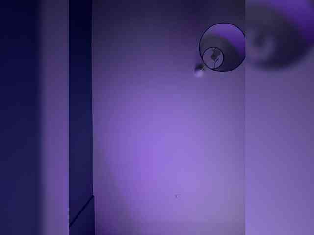 _Mua_ webcam