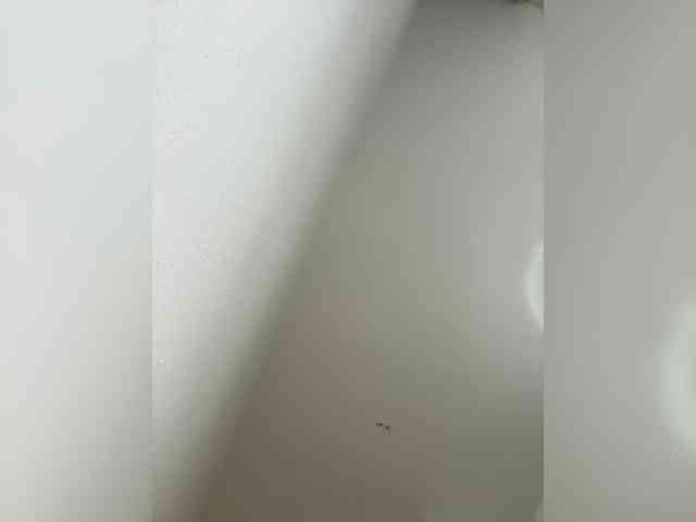 _Mua_ webcam
