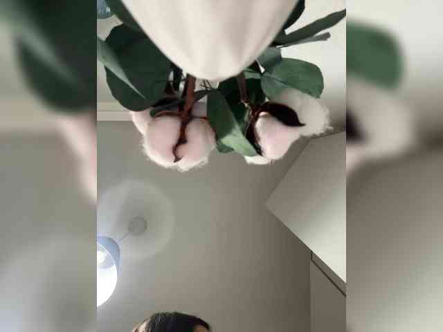 _Mua_ webcam