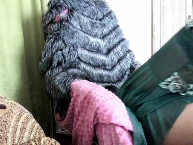 -Squirrel's BongaCams show and profile