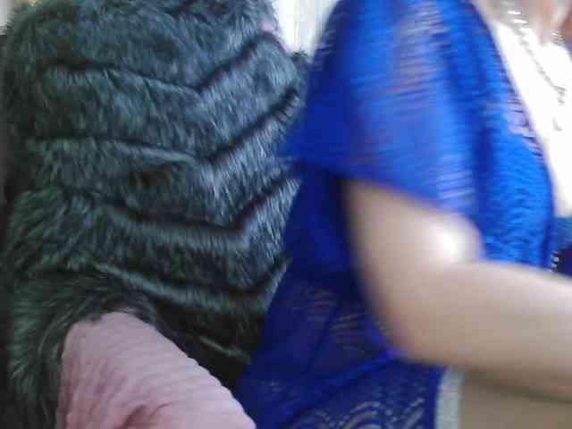 Squirrel-on-the-Bong webcam