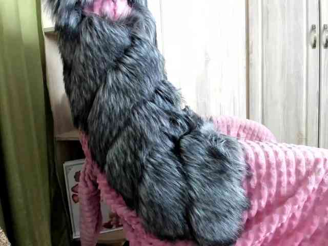 Squirrel-on-the-Bong webcam