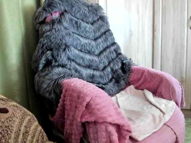 Squirrel-on-the-Bong webcam