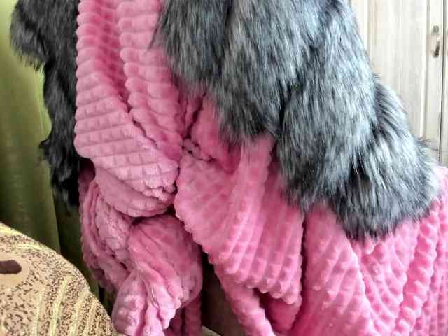 Squirrel-on-the-Bong webcam