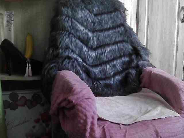 Squirrel-on-the-Bong webcam