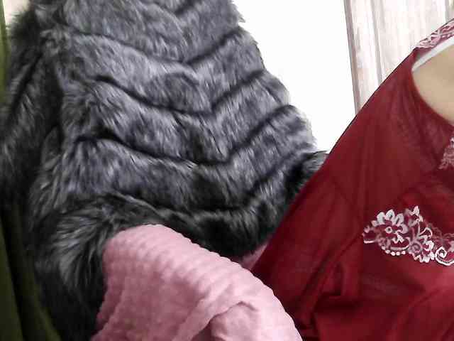 Squirrel-on-the-Bong webcam