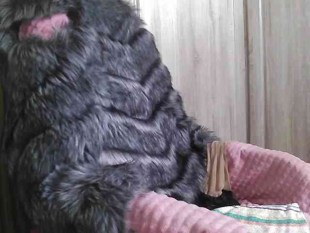 Squirrel-on-the-Bong webcam