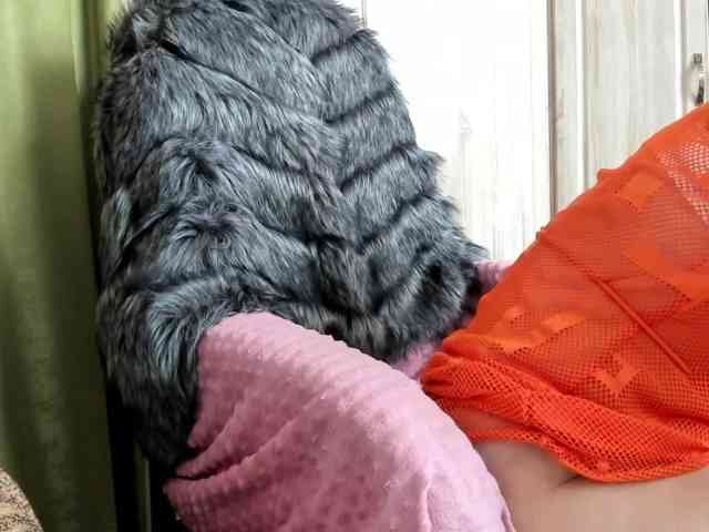 Squirrel-on-the-Bong webcam