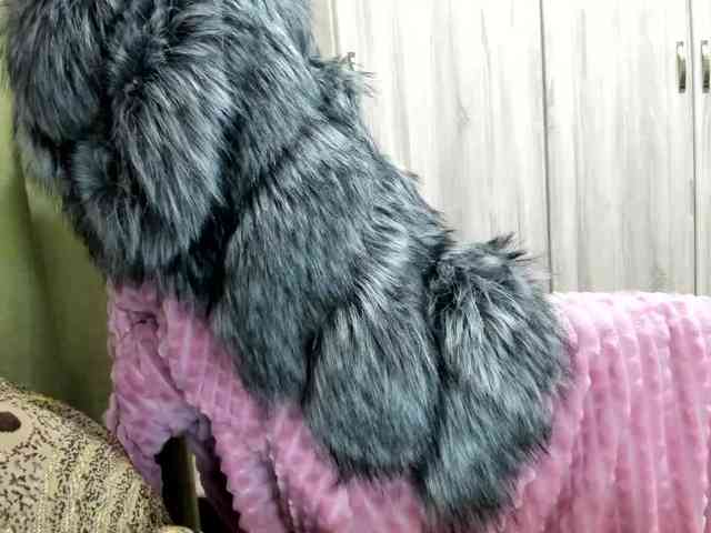 Squirrel-on-the-Bong webcam