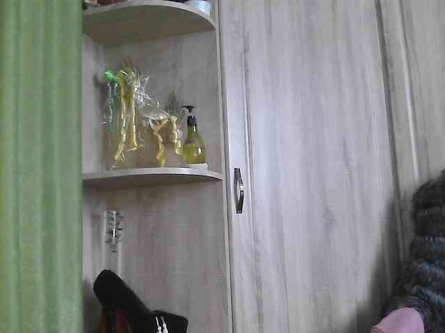 Squirrel-on-the-Bong webcam