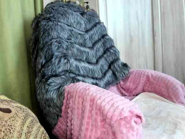 Squirrel-on-the-Bong webcam