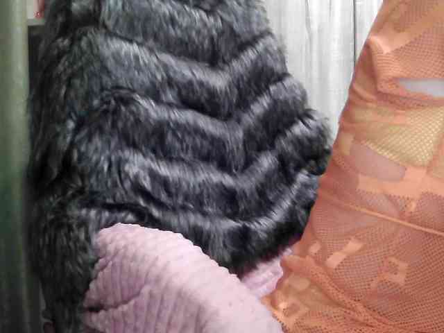 Squirrel-on-the-Bong webcam