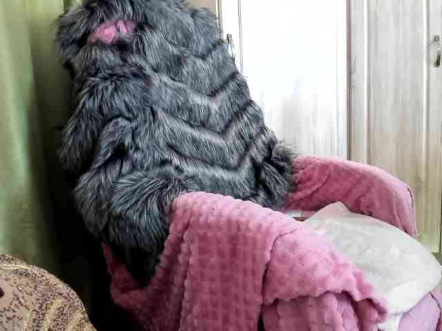 Squirrel-on-the-Bong webcam