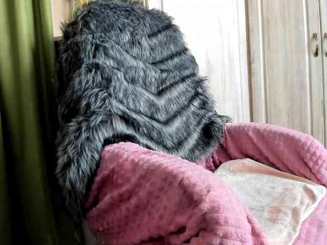 Squirrel-on-the-Bong webcam