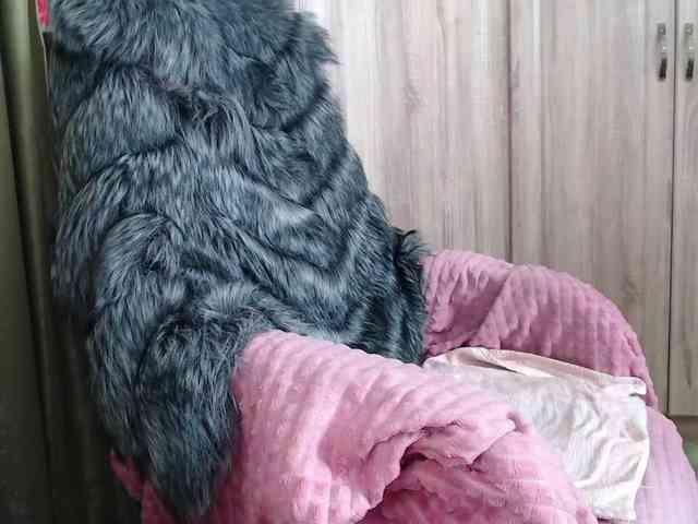 Squirrel-on-the-Bong webcam