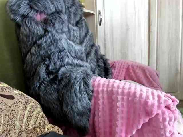 Squirrel-on-the-Bong webcam