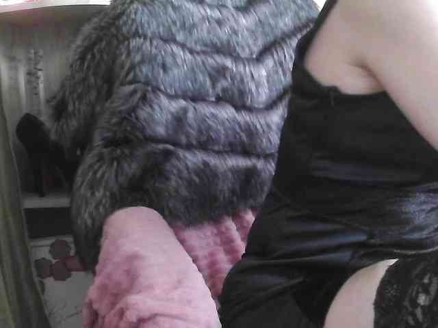 Squirrel-on-the-Bong webcam