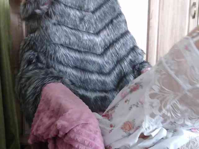 Squirrel-on-the-Bong webcam