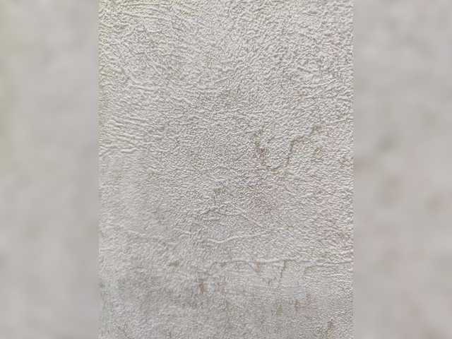 Preview of angelia22