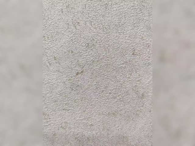 Angelia22 на llcam