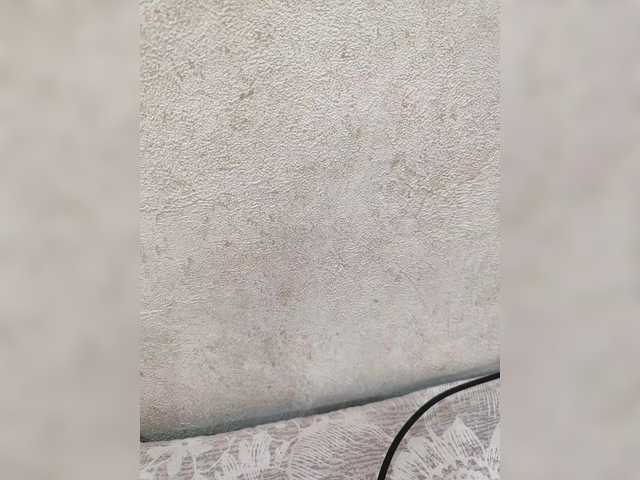 Angelia22