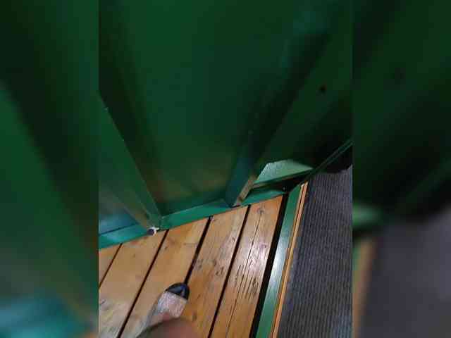 Angelia22 webcam