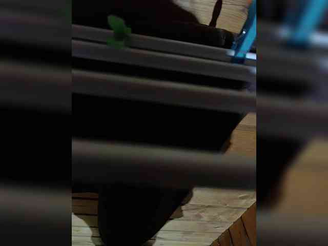 Angelia22 webcam