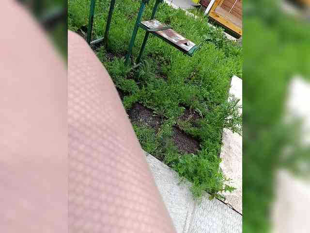 Angelia22 webcam