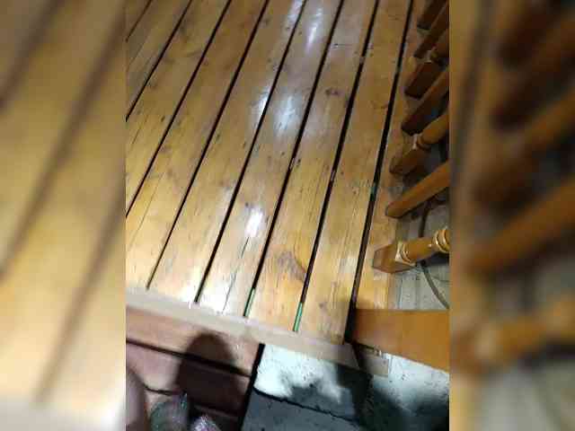Angelia22 webcam
