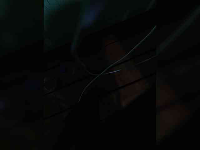 Angelia22 webcam