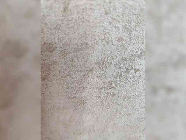 Angelia22 webcam