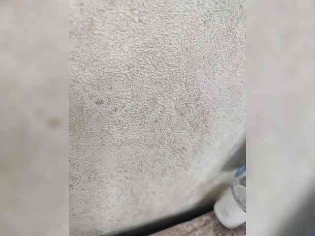 Angelia22 webcam