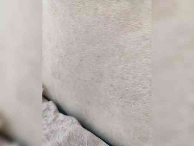 Angelia22 webcam