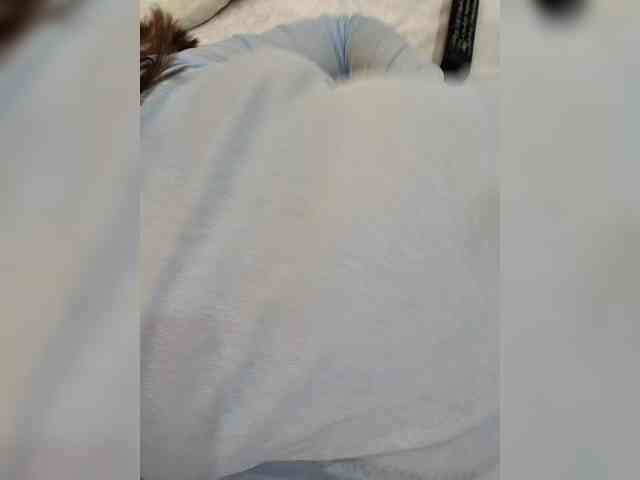 Angelia22 webcam