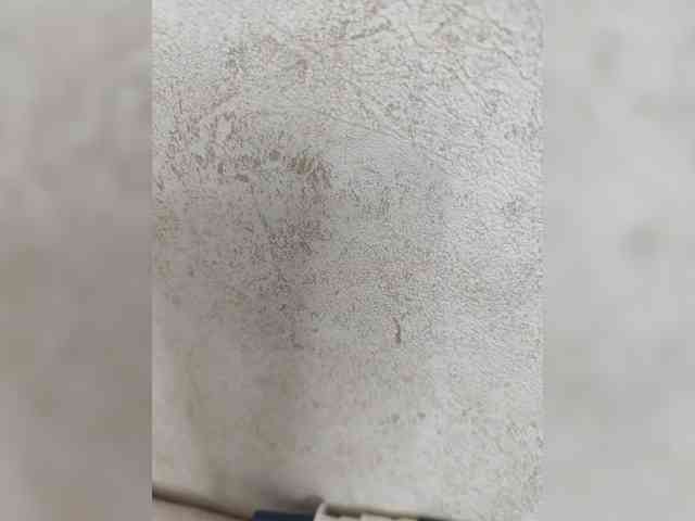 Angelia22 webcam