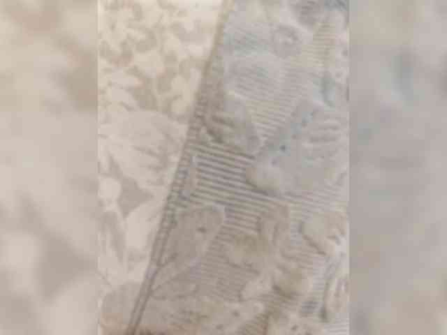 Angelia22 Live Webcam on BongaCams