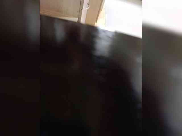 Angelia22 webcam