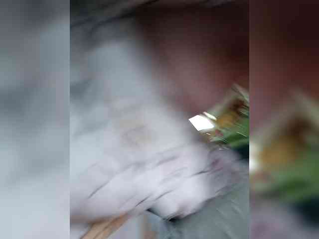 Angelia22 webcam