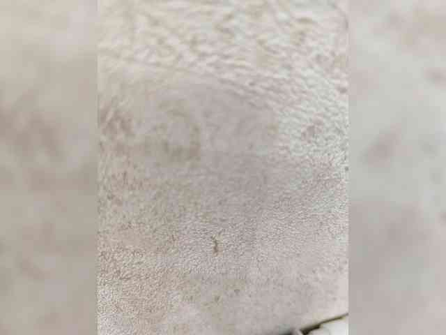 Angelia22 webcam