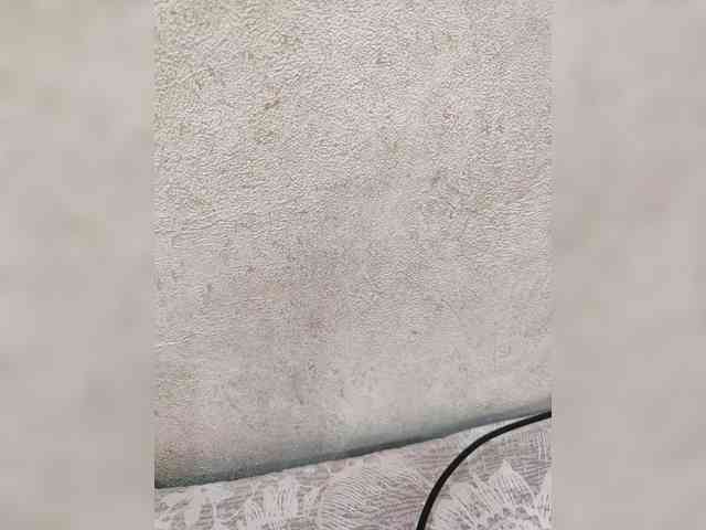Angelia22 webcam