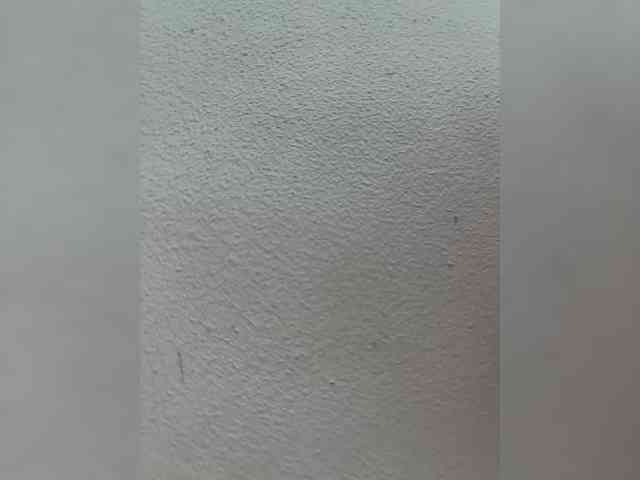 Wow-Eva webcam