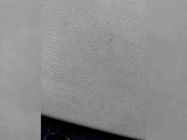 Wow-Eva webcam