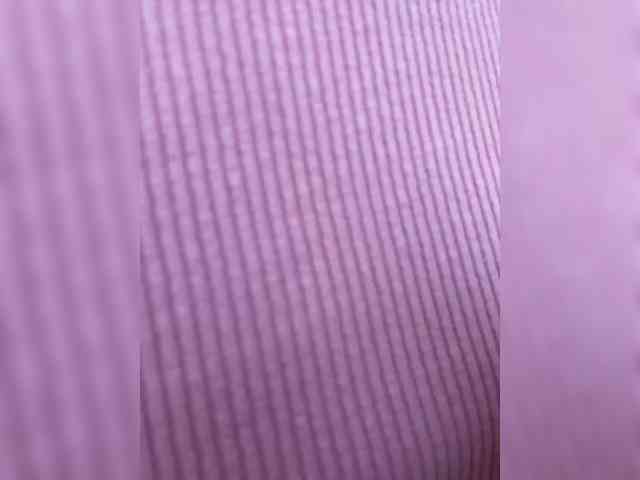 free adult webcam Wow-Eva