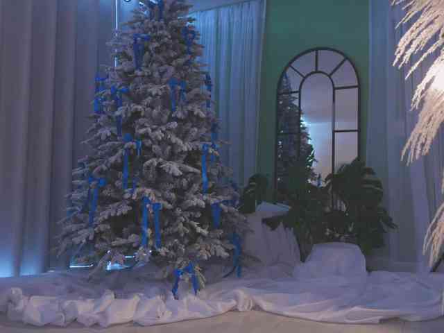 AmyArmstrong AmyArmstrong