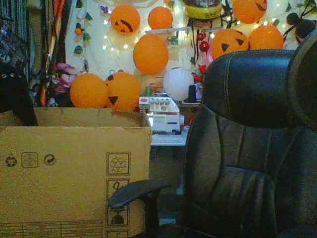 Lilianjackson Lilianjackson